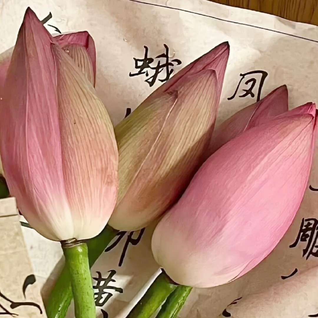 美句