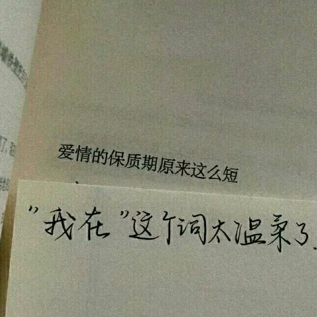 🌵沉溺