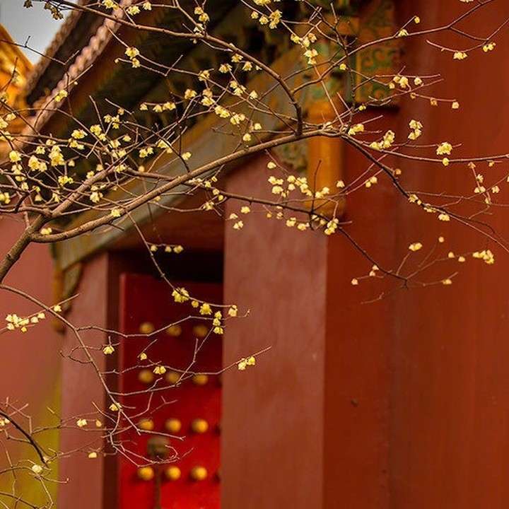 学习