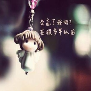 后来的专辑