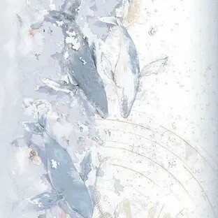 仰的专辑