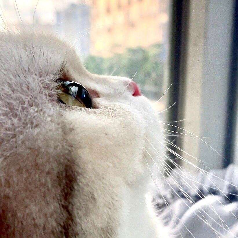 同学录