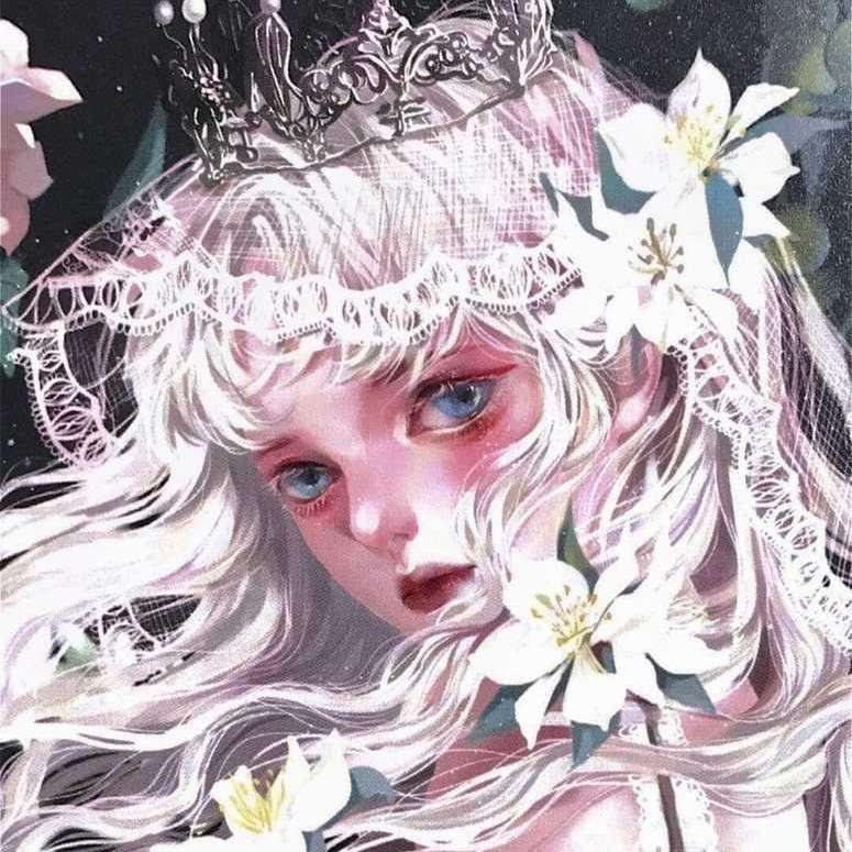 酸梅【黄三】