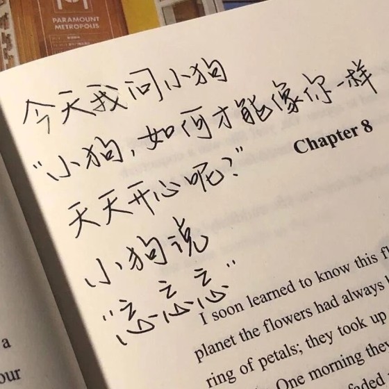 文章摘要