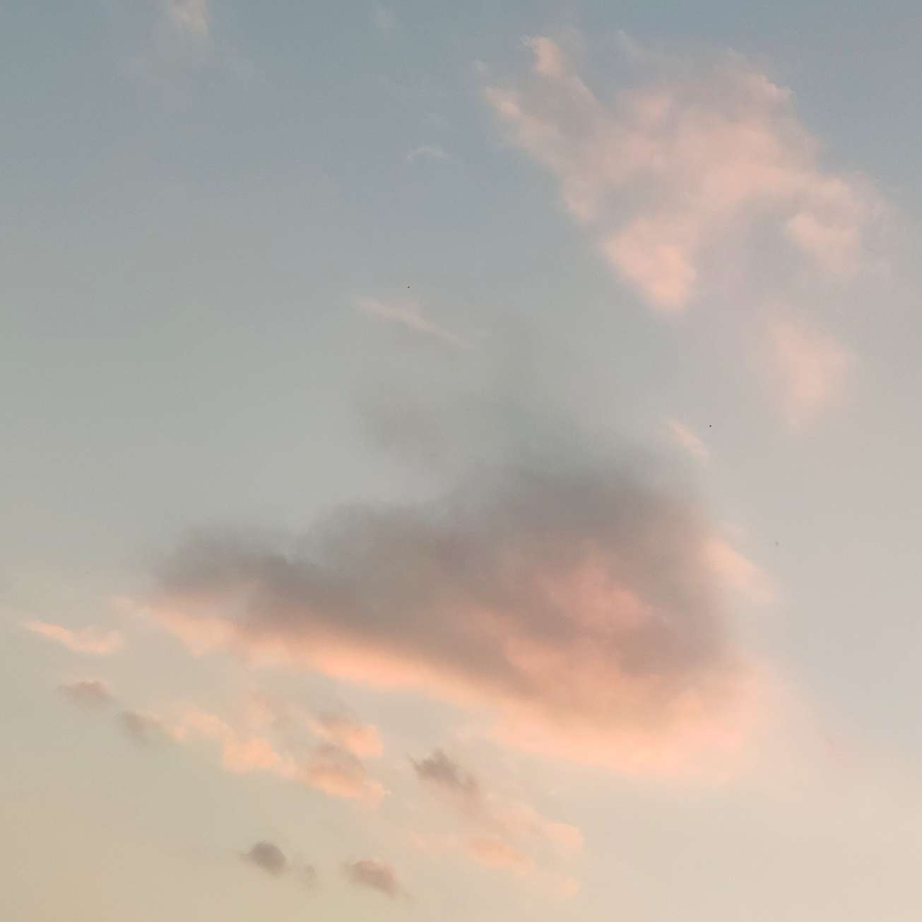 悟