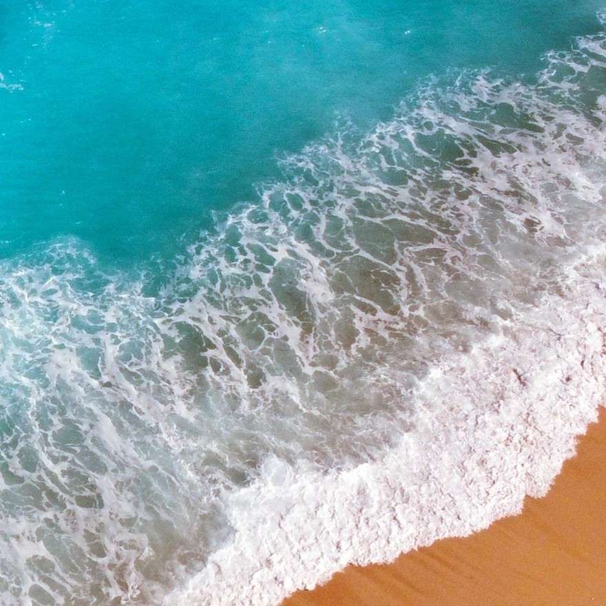 。的专辑