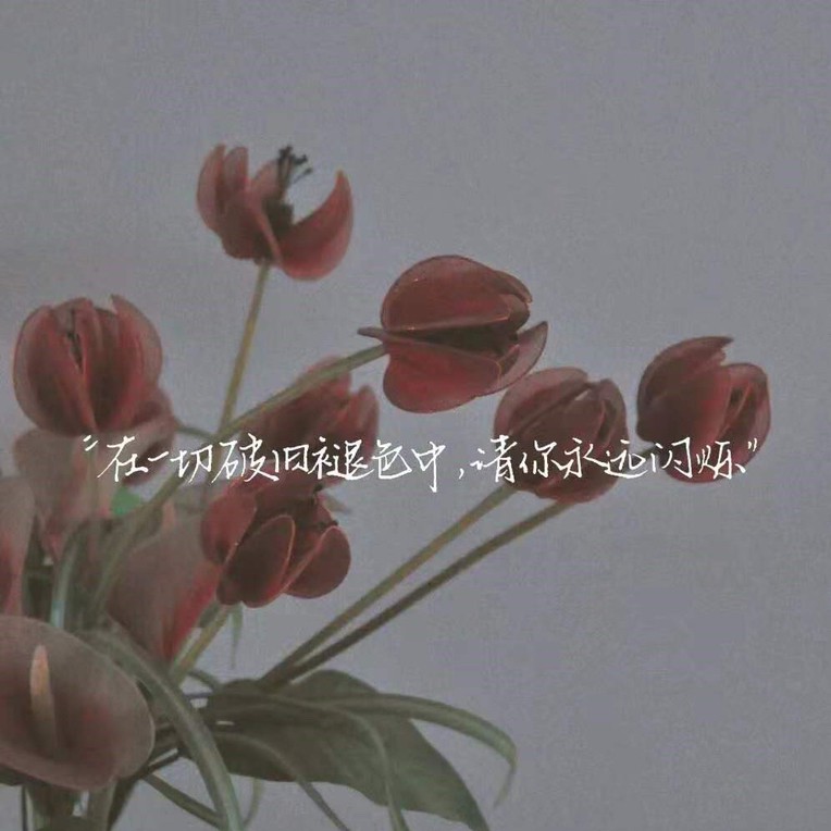 会很触动！