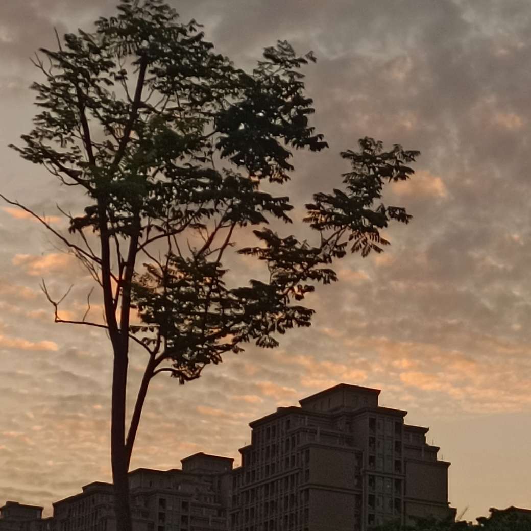 王小波