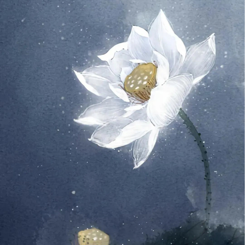白南子诗集