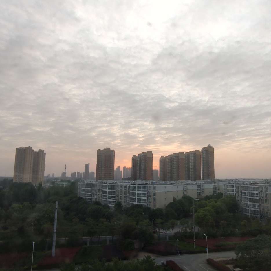 明理