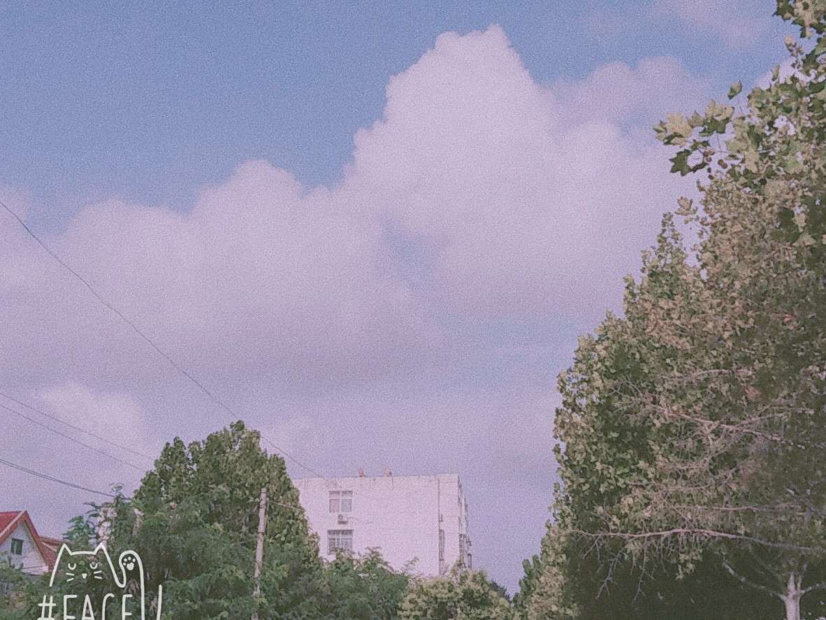 说一个你最爱的明星让你最心动的一句话 吧