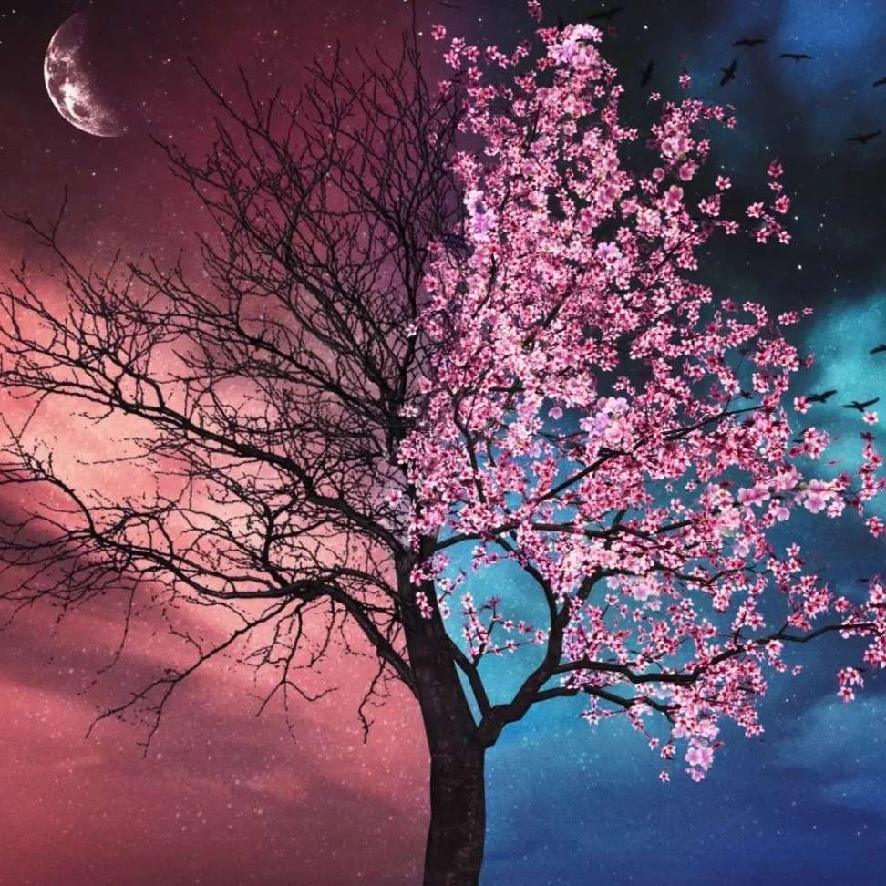 明与暗