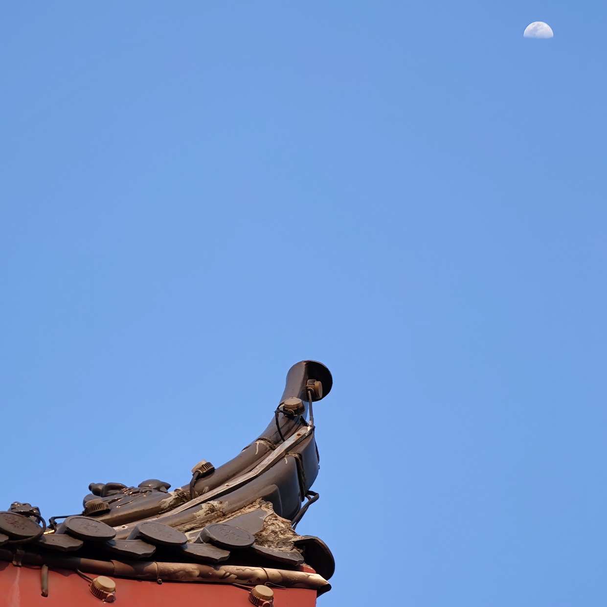 文张