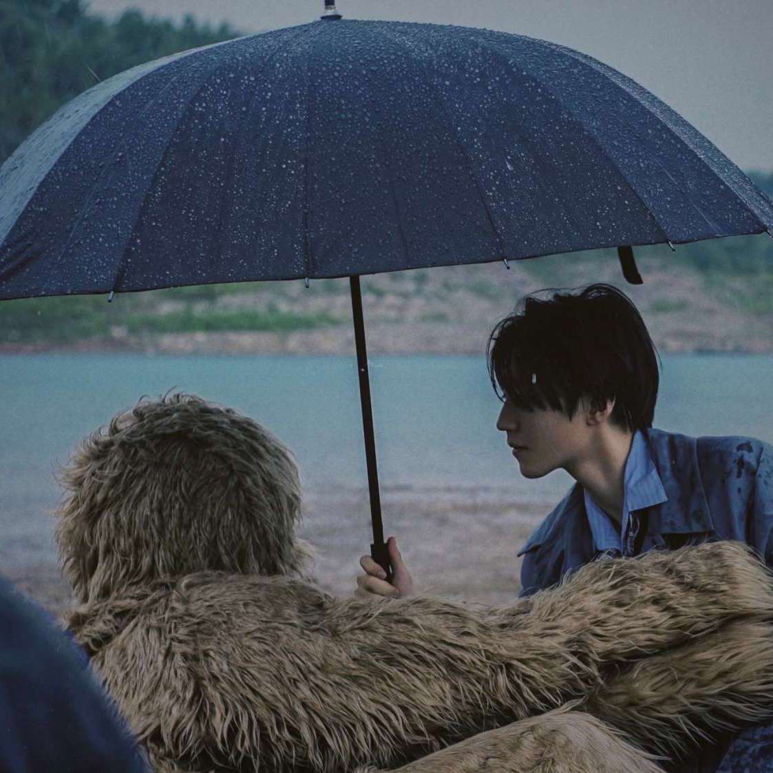王俊凯