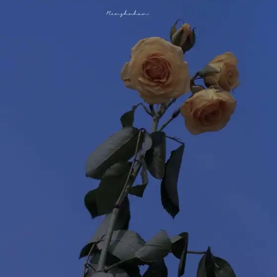 一见钟情💕
