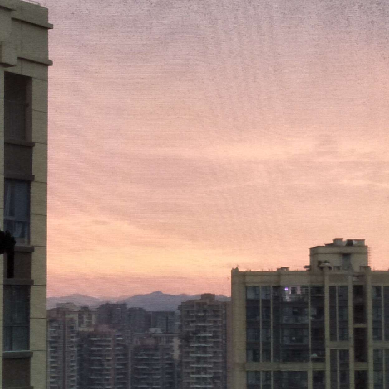 土味
