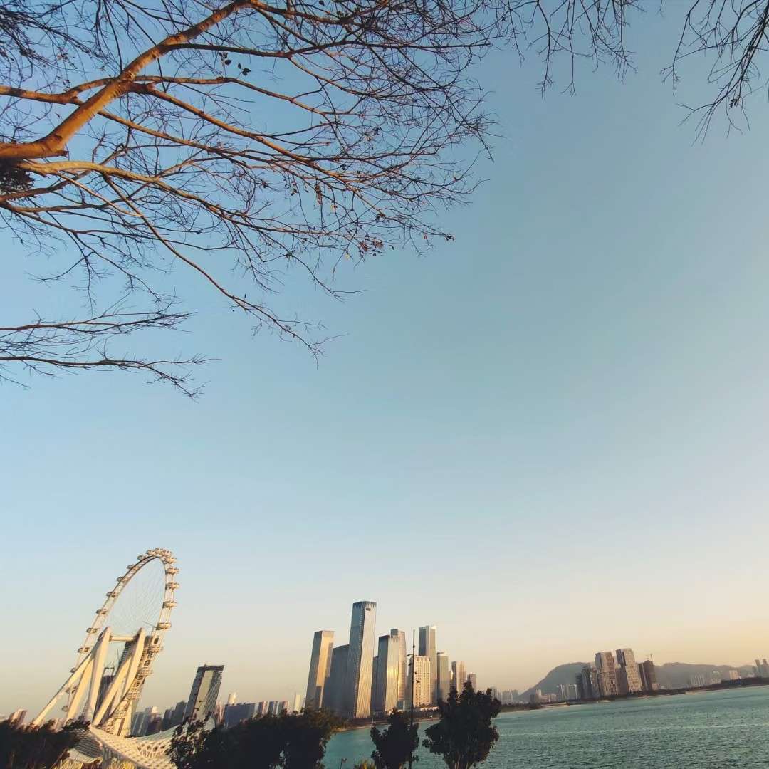 晴朗的专辑