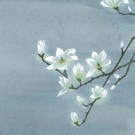 青春