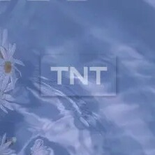 TNT