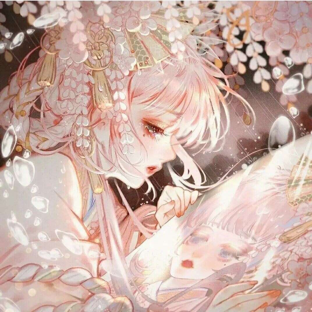 不思追的专辑