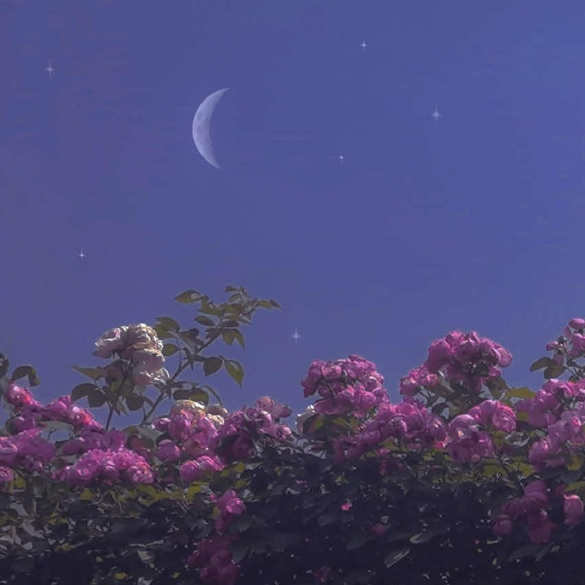 月光变奏曲
