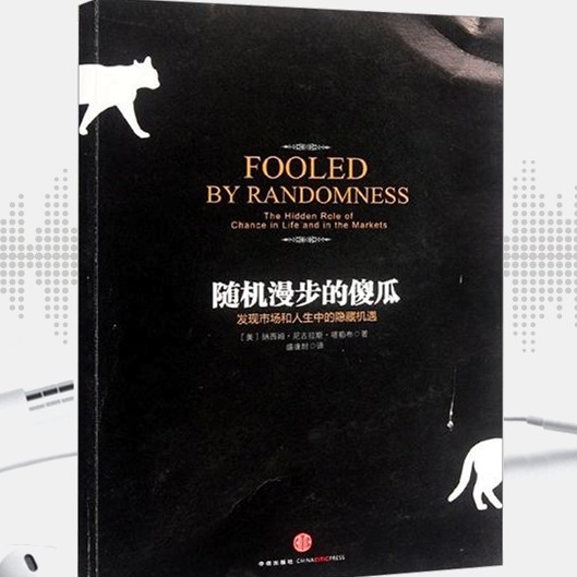 《随机漫步的傻瓜 》