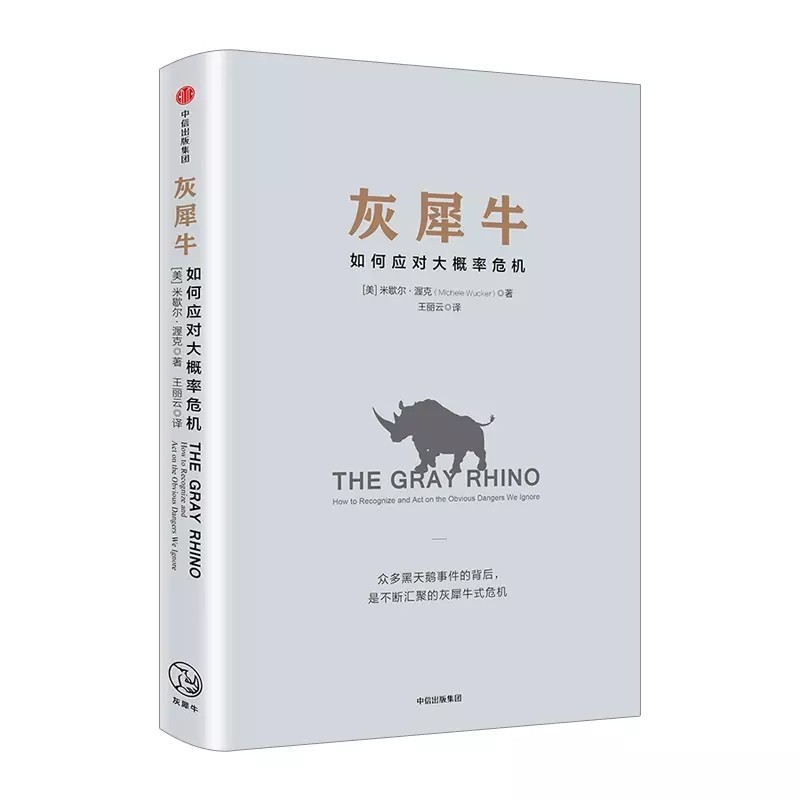 《灰犀牛》