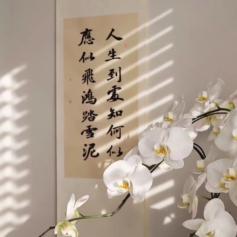 政经
