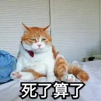 从社死组学到的道理