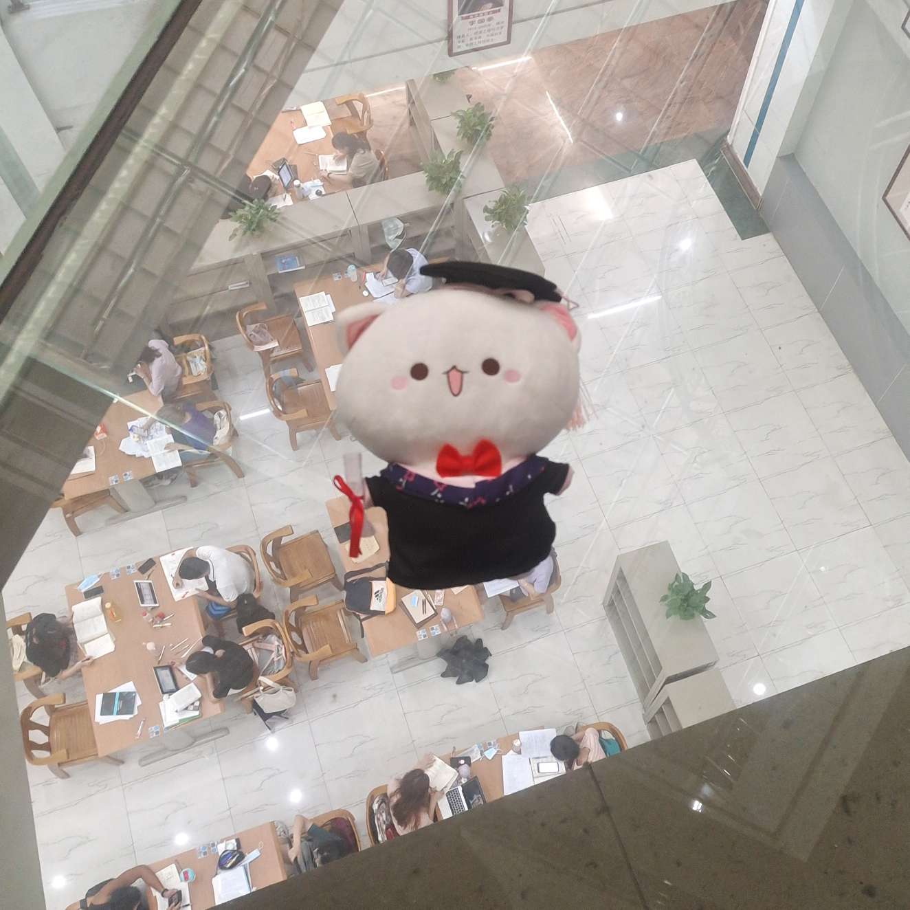 阿洛的 【应试教育感悟】