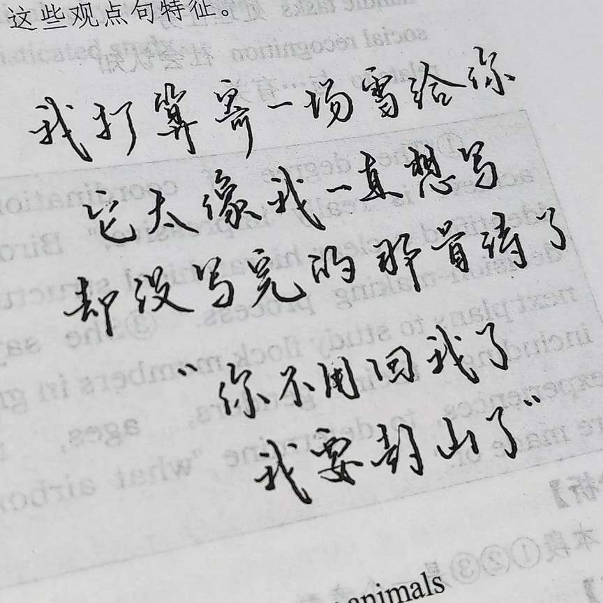 l&p的专辑
