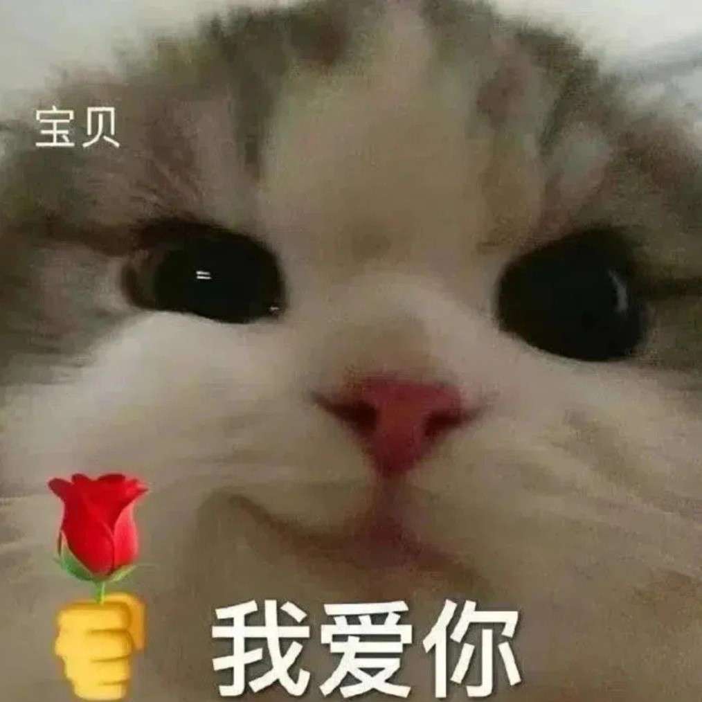 番茄🍅