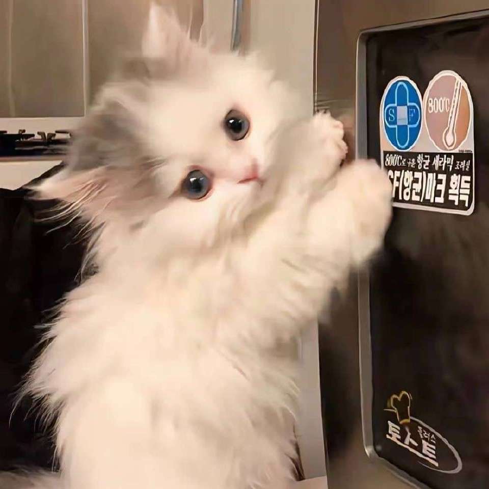 温柔治愈