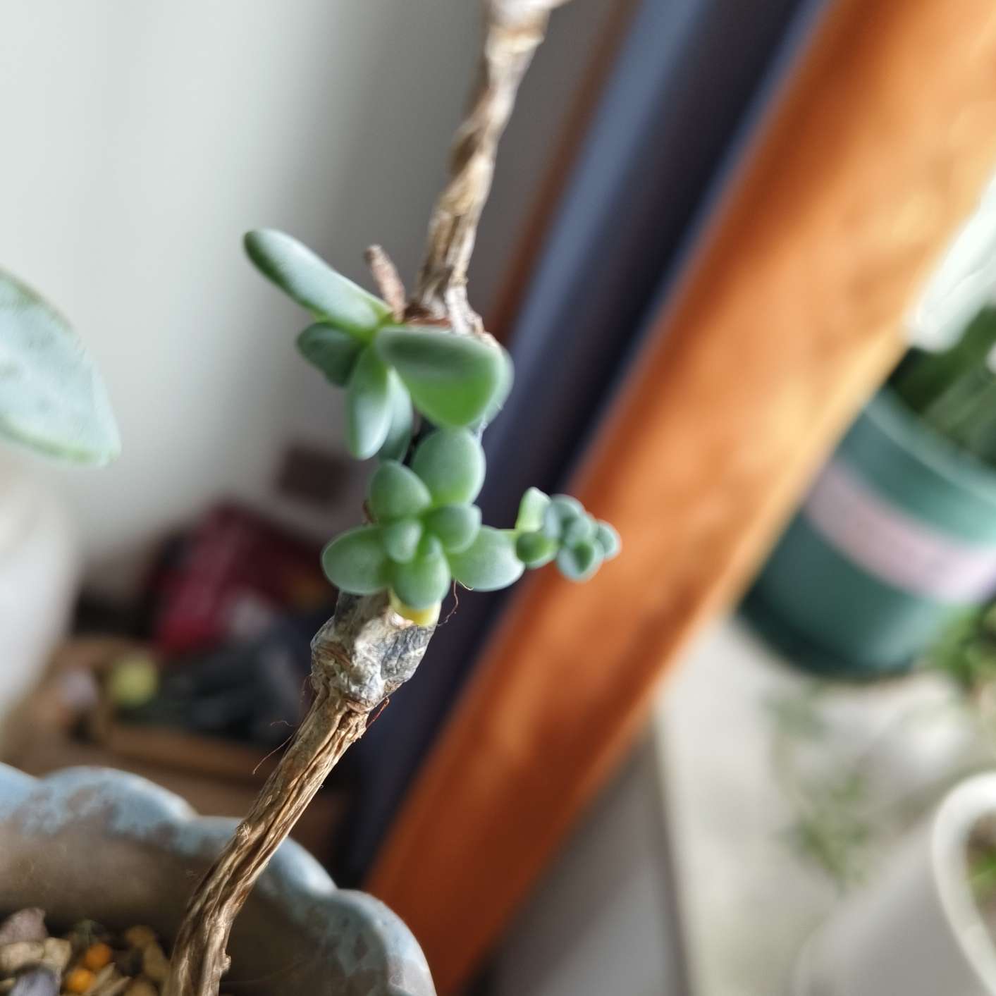 做人智慧