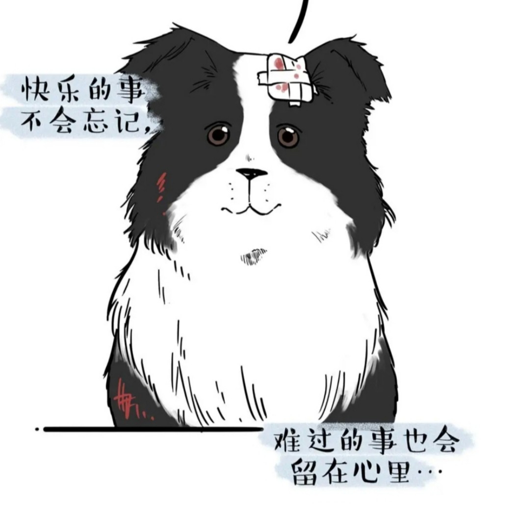 《应》