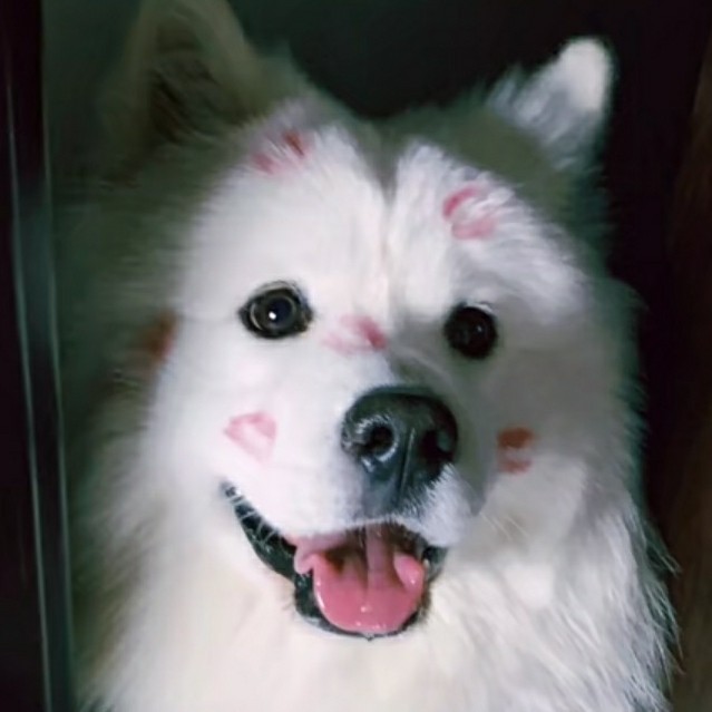 语录