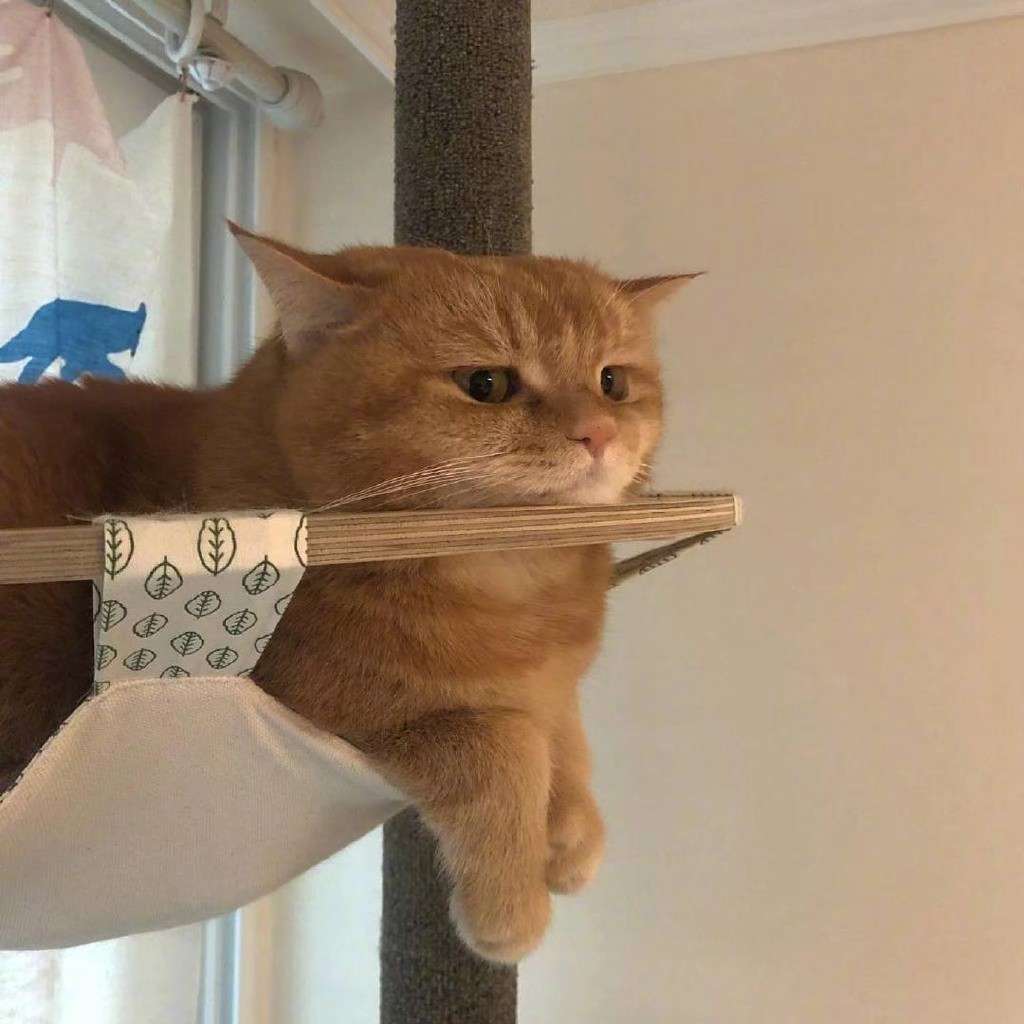 句子
