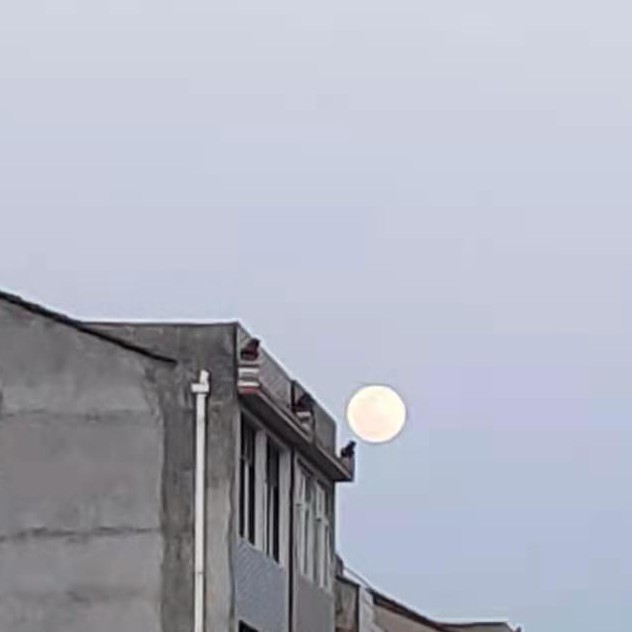 “橙”与“梧桐”.