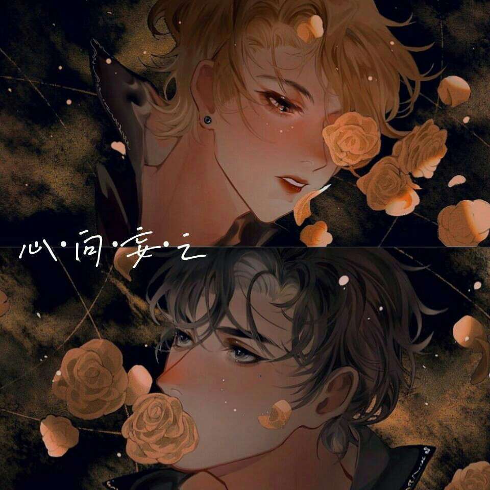 心向往之