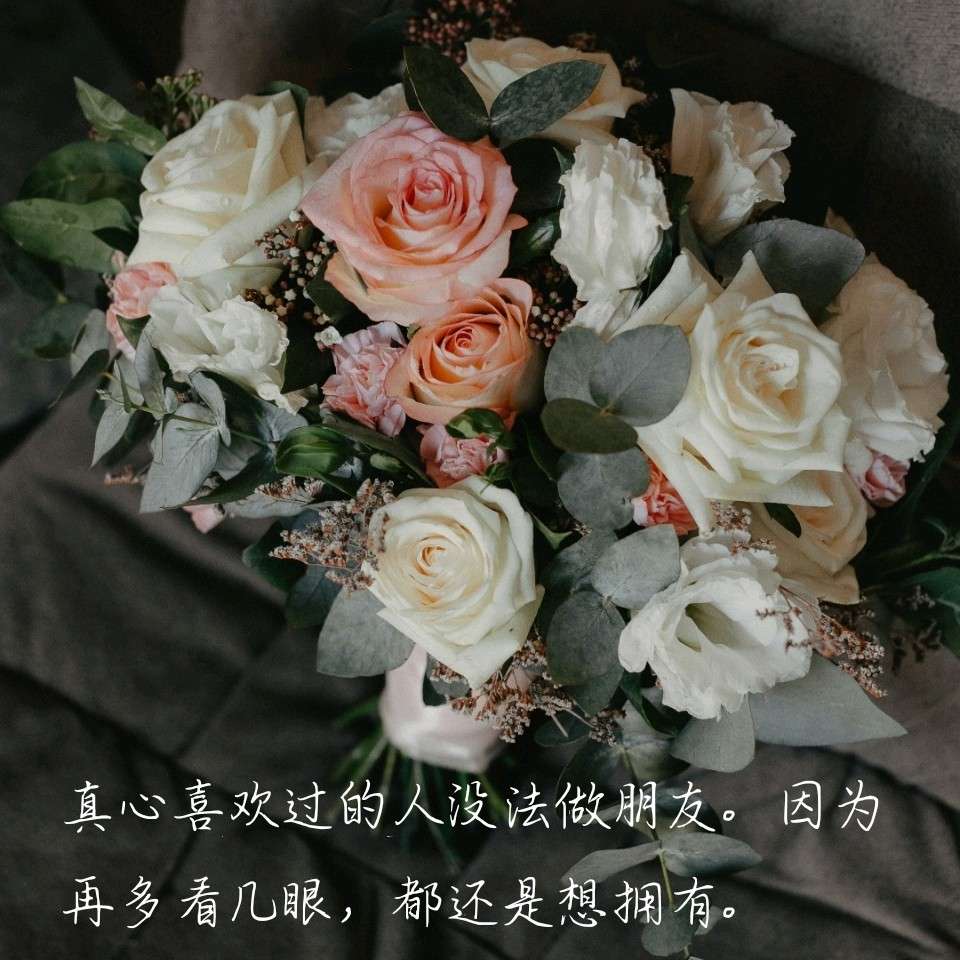 人际  孤独