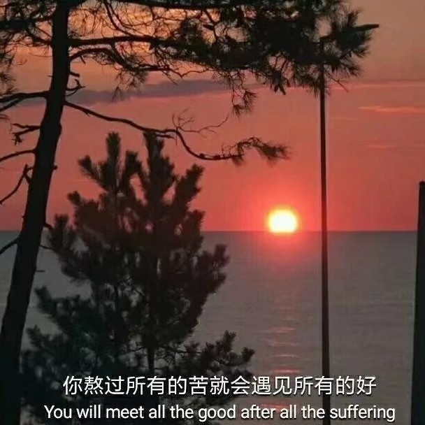 励志学习句子