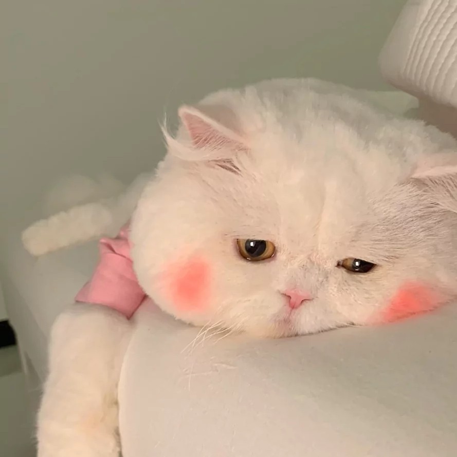 欧豪♡的专辑