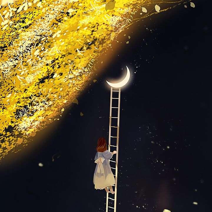 我的星星们