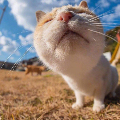 ರ_ರ 心塞