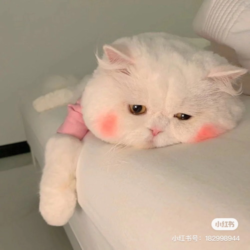 人生如戏！