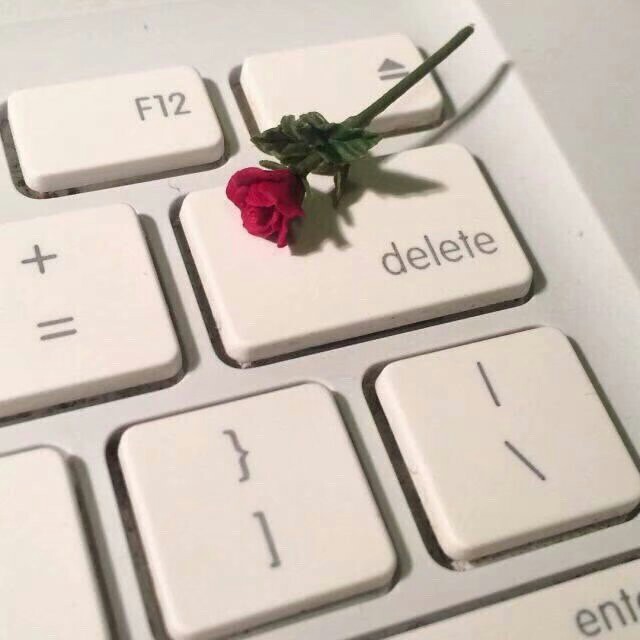 专辑