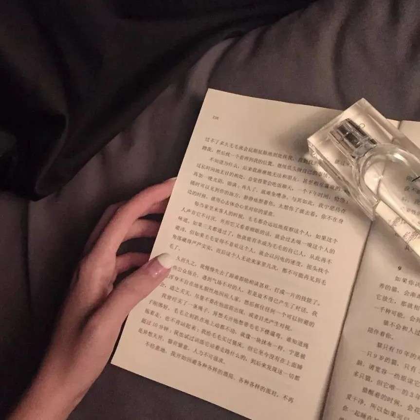 HiKZ的专辑