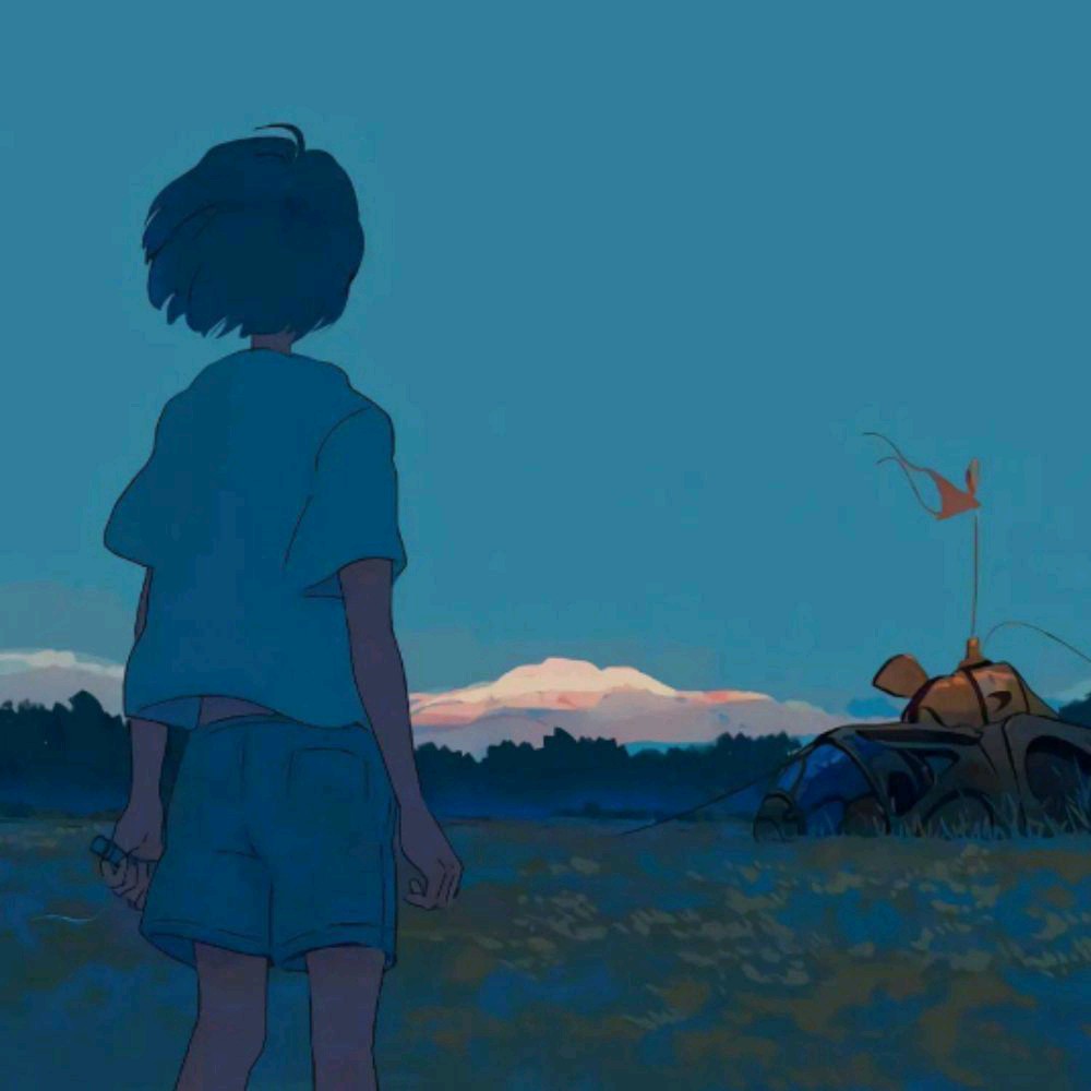 我的收藏
