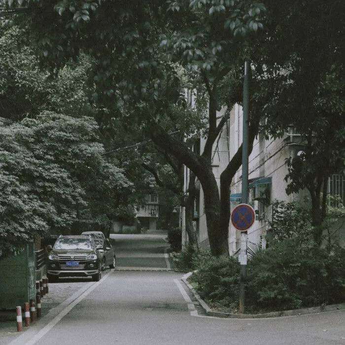 候鸟
