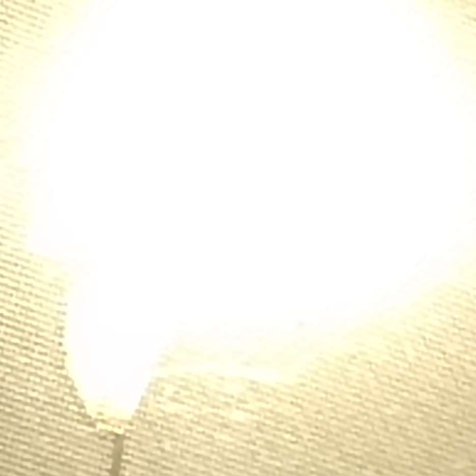 生活与书